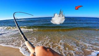 Getting Absolutely DESTROYED By Fish on The BEACH!
