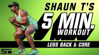 Shaun T 5 Minute Workout Legs Back and Core