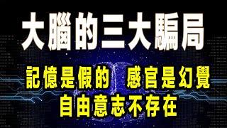 大腦的三大騙局：如果記憶是假的，感官是幻覺，自由意志不存在……那麼，我們的真實又是什麼？