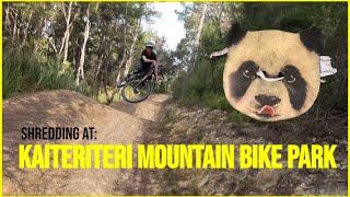 Kaiteriteri Mountain Bike Park | Edit 4K