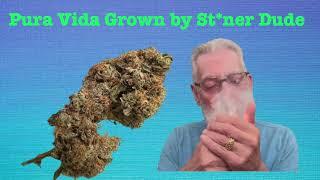 Pura Vida Strain Review