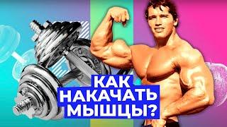 Мышцы как у Шварцнеггера: как ТРЕНИРОВАТЬСЯ правильно? // Злобный ЗОЖ