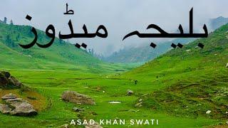 Baleja Meadows, The beautiful Valley of Jabar Gali, Jabori Mundi, Siran Valley