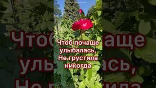 Танюша, с днем ангела! Поздравление для Татьяны #поздравлениедлятатьяны #сднемангелататьяну