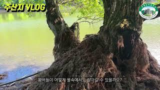 주왕산국립공원 주산지 편의시설 안내  VLOG