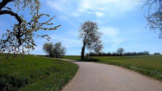Ultimate 30 minute Spring Classic Indoor Cycling Workout 4K Strava Data Video