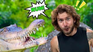 CHASED BY RARE CROCODILE!