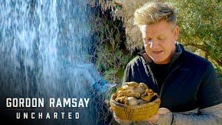 Gordon Ramsay Goes Foraging For Chanterelles | Gordon Ramsay: Uncharted