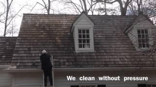 Cedar roof cleaning