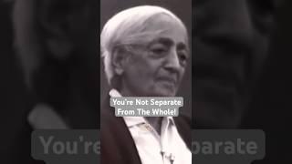 You’ve Mistaken the Program for Yourself | J. Krishnamurti #shorts