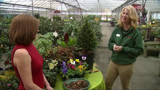 Easy ways to refresh your garden with Pike Nurseries
