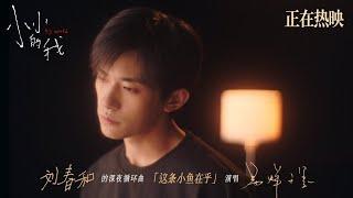 【易烊千玺】I'm a Little Fish MV | Big World【Jackson Yee】