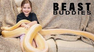 7-Year-Old’s Bestie Is A 15ft Python | BEAST BUDDIES