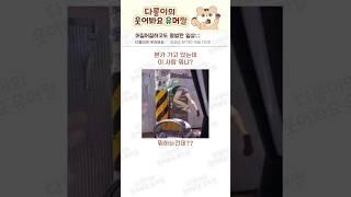 어질어질하고도 평범한 일상;;; #웃긴동영상 #유머 #공감