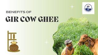 Benefits of Gir Cow Ghee | A2 cow ghee | Bilona Method | Gir Cow Ghee | Amrutam A2 Desi Cow Ghee |