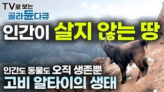 겨울 -50℃ 여름 50℃ 인간이 순응한 극한의 땅｜대자연 앞에선 인간도 동물도 오직 생존뿐!｜창탕고원｜고비사막｜지구상 최후의 오지｜신비의 땅, 알타이 생태｜다큐프라임｜#골라듄다큐