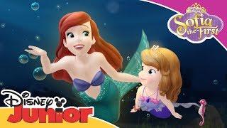 Ariel Helps Sofia | Sofia the First  | Disney Junior Arabia