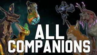 All Companions of Warframe