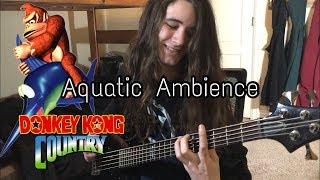 DKC Aquatic Ambience Prog/Metal/Ambient Cover