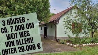 Weinberghäuschen in Südungarn: 3 Häuser + Grundstück mit ca. 7.000 qm für weniger als 20.000 €.