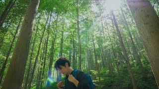 47년동안 혼자 나무를 심으면서 만든 숲 화인산림욕장 하이킹 | A forest built alone for 47 years in Okcheon, Chungbuk Korea. 4K