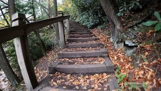 Hiking the Swallow Falls Canyon Trail in Maryland at Swallow Falls State Park! - GoPro 10