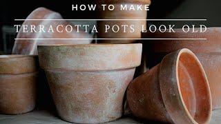 How to Make Terra Cotta Pots Look Old - Instantly Aged Terracotta Planter Pots using Paint!