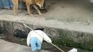 تفاصيل عراقيه كشخه ماركت كشخه عراقيه