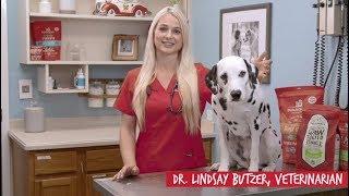 What Makes a Dog Food Better with Veterinarian Dr. Lindsay Butzer