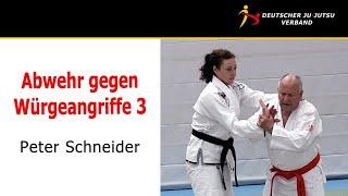 Teil 3 - Jiu-Jitsu Abwehr gegen Würgen von der Seite / Peter Schneider