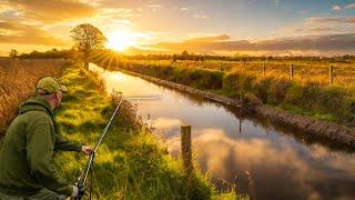 Searching for Monster Pike on the Fenland Drains