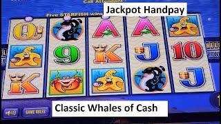 Jackpot Handpay! Original Whales Of Cash Slot! Aristocrat