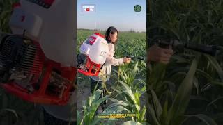 Backpack Power Sprayer