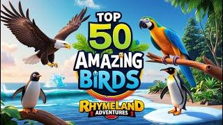 "Top 50 Amazing Birds | Stunning Birds & Their Unique Habitats | RhymeLand Adventures"#explore