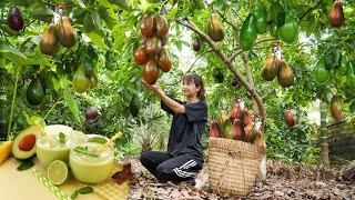 Single mother Harvests Avocados to sell for money to buy milk for her child, makes avocado smoothie