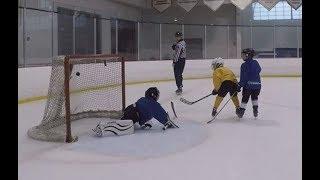 The Rinx Summer Hockey School at Bethpage - Week 8 - 2018