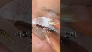 애교살 차오르는 눈매 테이핑 방법 #속눈썹펌수강 #벨르무아