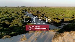 Parque Nacional de Doñana   50 Aniversario