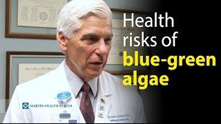 Health risks associated with blue-green algae exposure