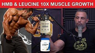 HMB vs Leucine: Do HMB and Leucine Work for Muscle Growth & Body Building?