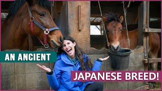 Riding the Kiso Horse in Japan!