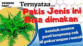 Cara membedakan tanaman pakis yang bisa dimakan dan tidak bisa dimakan|bahaya!!!