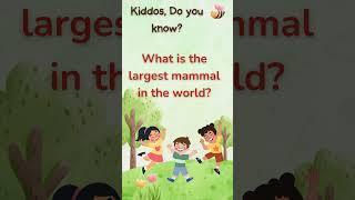What is the largest mammal in the world? #brainteasers #funlearning #kidsvideo #kidsfun #quiz