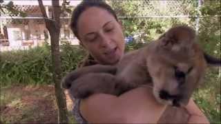 Back to the Wild at the Busch Wildlife Sanctuary