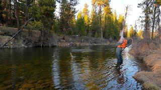 The Best Place on Earth to CATCH TROUT!