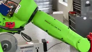 Collaborative Robots In Action! | RōBEX