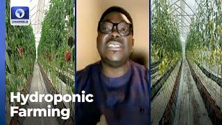 CEO BIC Farms Concepts On Hydroponic Farming System | Business Morning