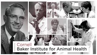 Baker Institute for Animal Heath