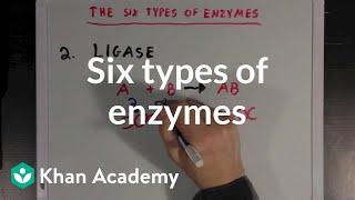 Six types of enzymes | Chemical Processes | MCAT | Khan Academy