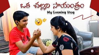ఒక చల్లని సాయంత్రం || Evening Vlog|| Deepti Nallamothu || How I Spend Time With My Family ||